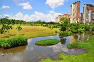 A shot of green pasture by the river at Bishan-Ang Mo Kio Park