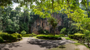 An arresting sight of Bukit Batok Town Park