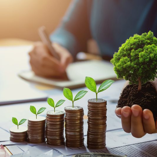 Borrow money in Singapore from licensed lenders