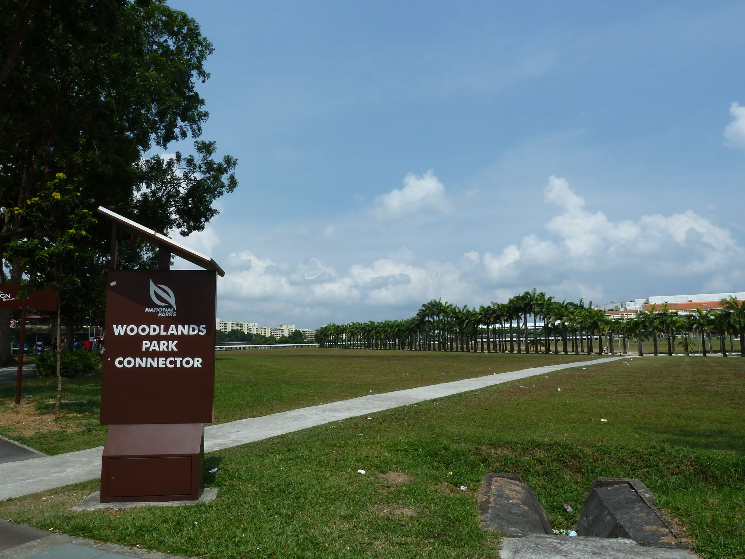 A view of the serene greenery and nature at Woodlands Park Connector