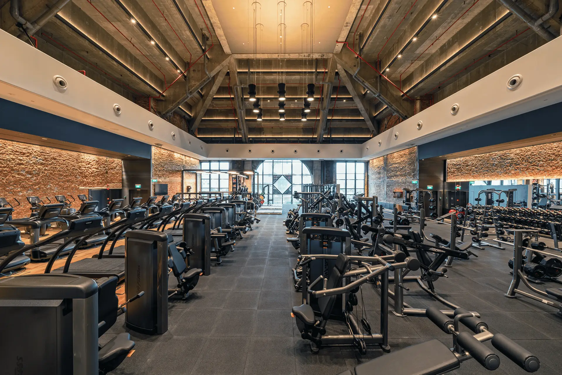 Pure Fitness